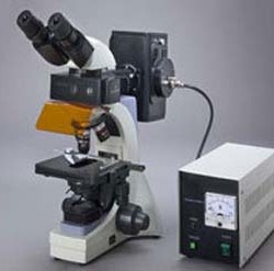 Trinocular Fluorescence Microscope With Digital Ca